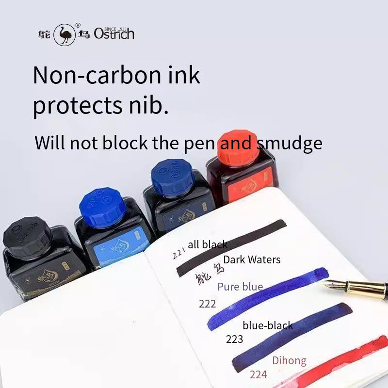 Ostrich 2-Series Fountain Pen  - Fountain Pen Bottled Ink review and price