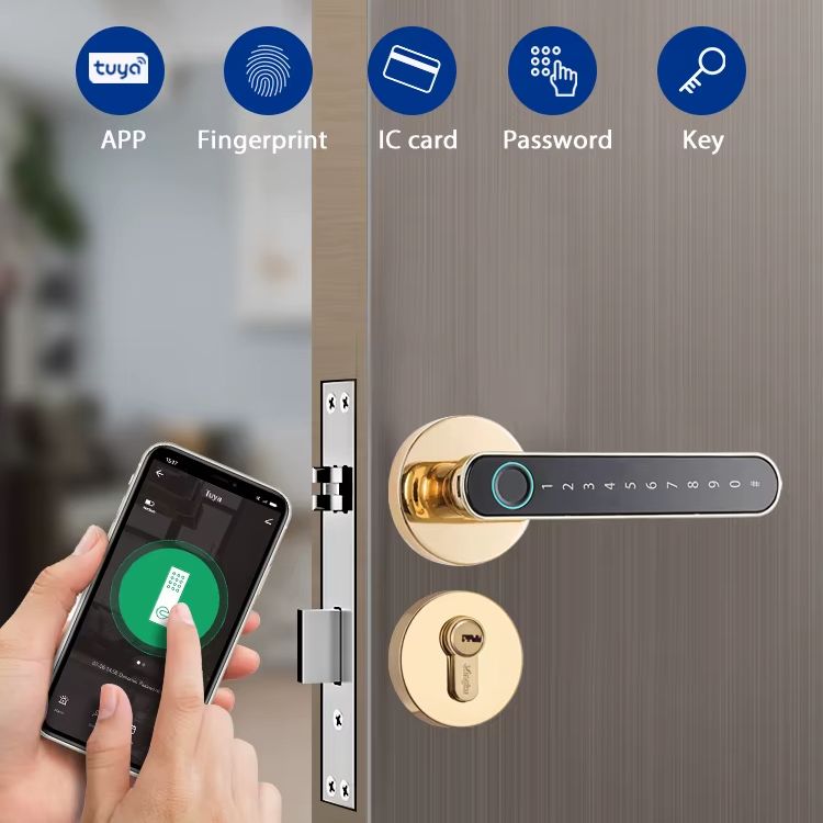 Tuya Biometric Fingerprint Sma - Letter Opener Brass review and price